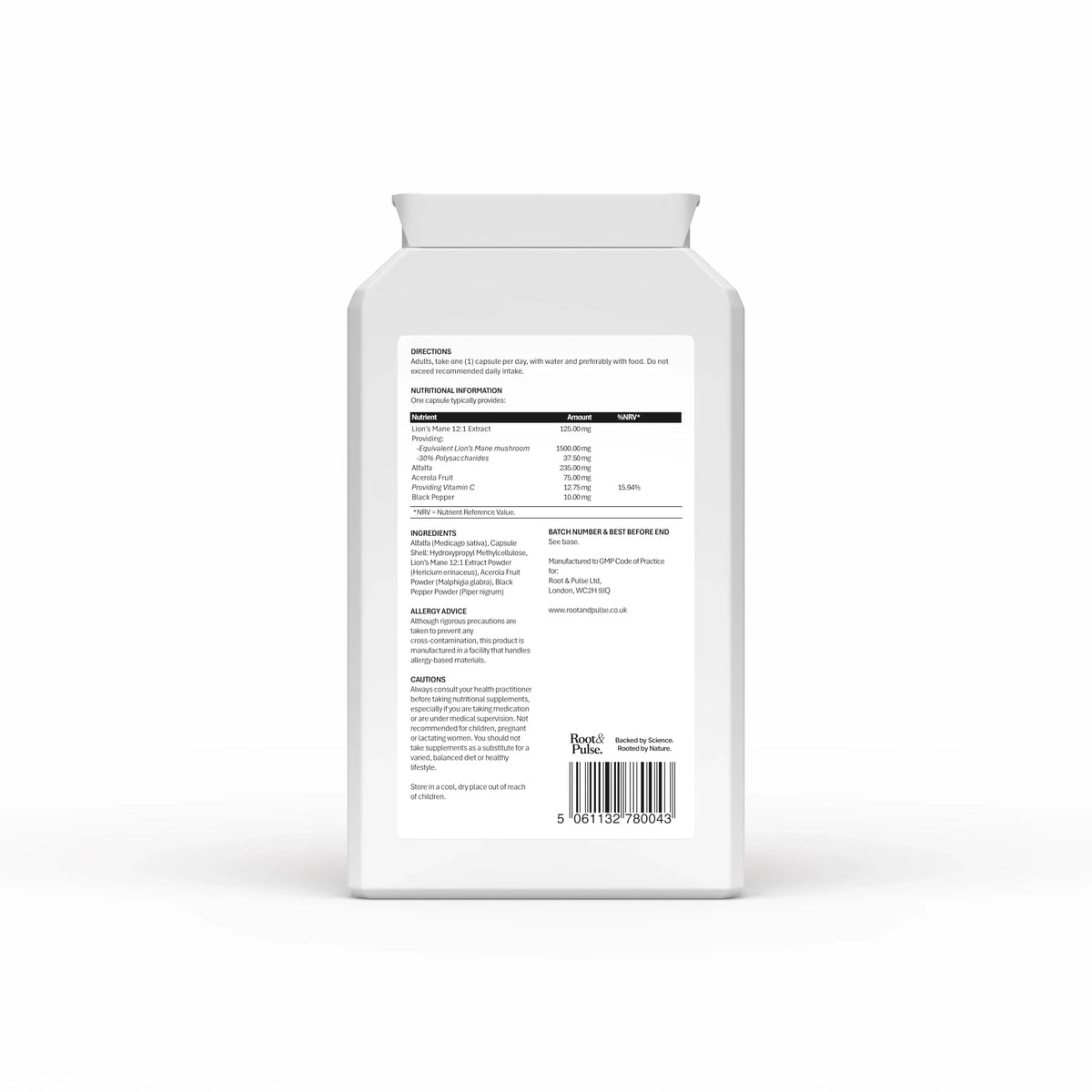 Brain & Focus Performance Bundle