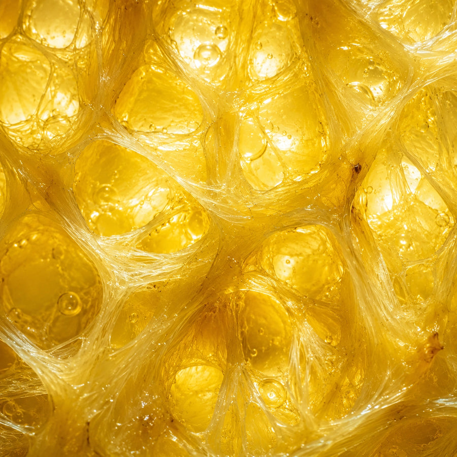 Digestive Enzymes Guide