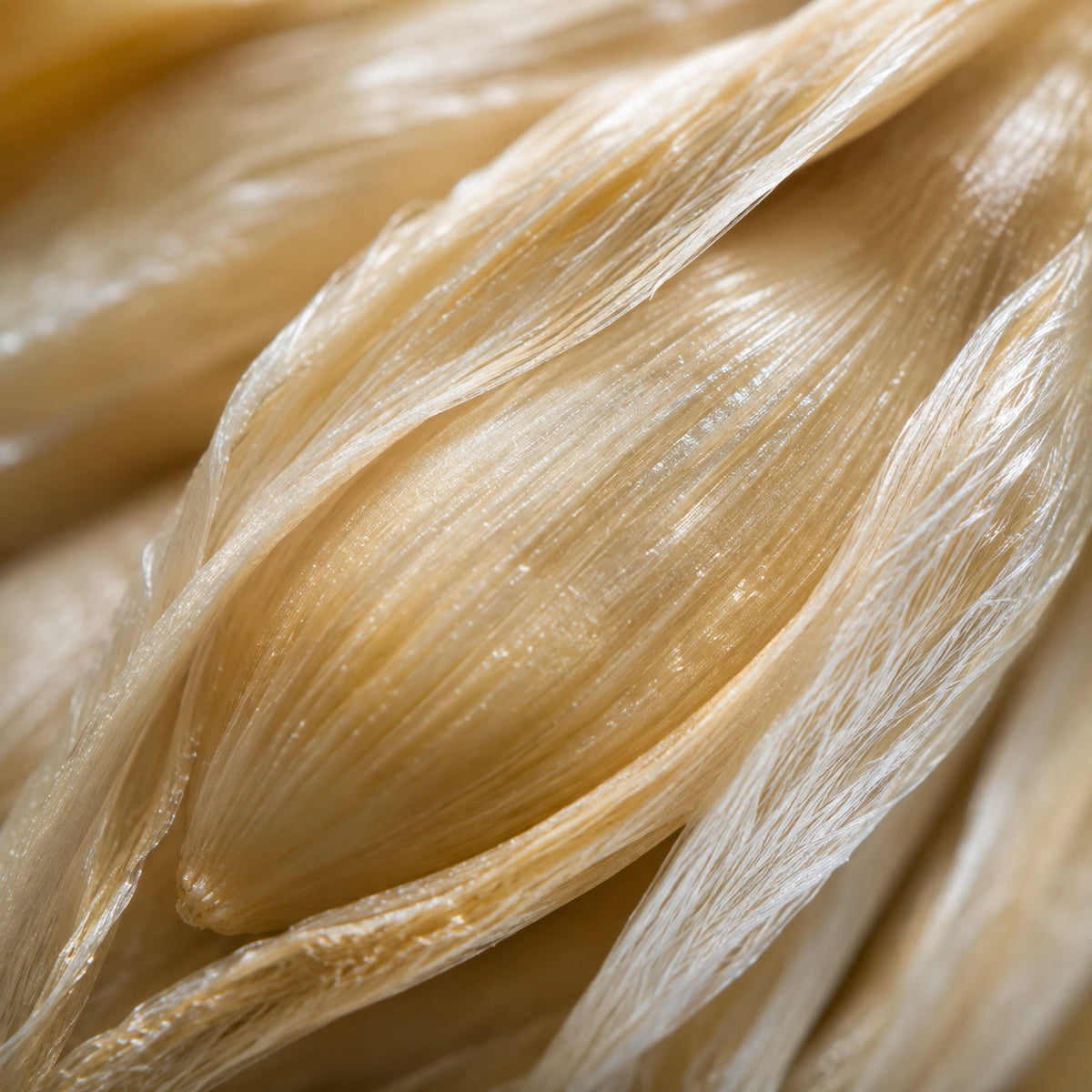 A close-up macro shot of dried, translucent plant fibers or strands in warm beige and cream tones.