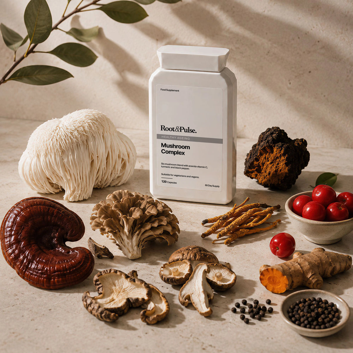 A white bottle labeled Root and Pulse Mushroom Complex stands on a beige stone surface surrounded by various mushrooms, herbs, and small bowls of ingredients in warm natural light.