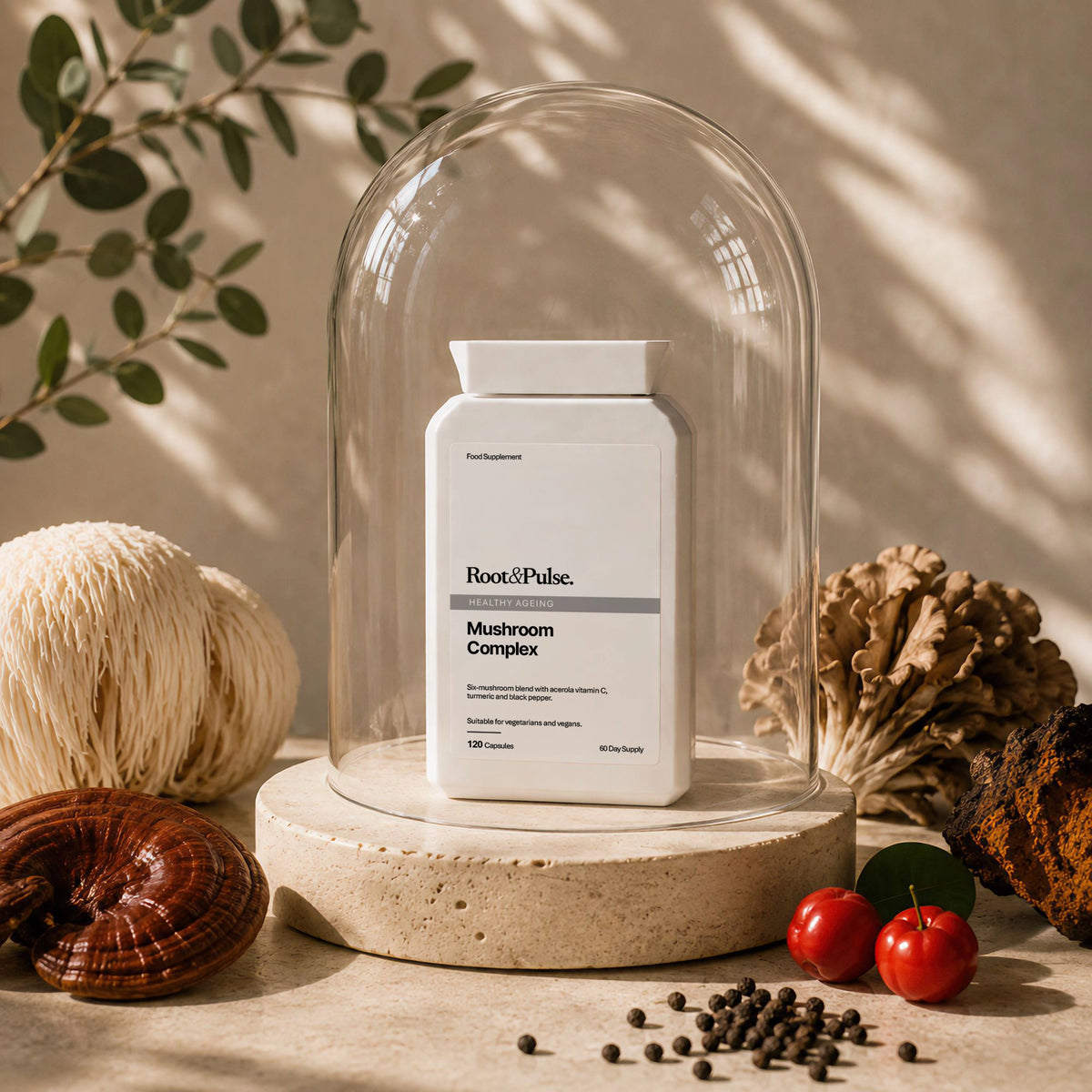 A white supplement bottle labeled Root & Pulse Mushroom Complex sits under a clear glass cloche on a stone base, styled with mushrooms, peppercorns, red berries, and greenery in warm natural light.