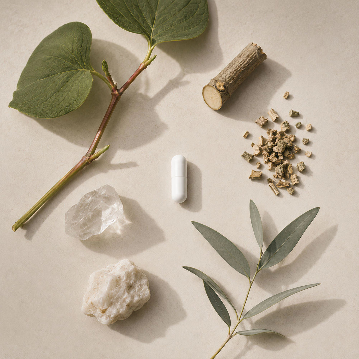 A white Root and Pulse Resveratrol capsule pill lies on a beige surface surrounded by botanical elements, including green leaves, a small cut wood piece, dried herb pieces, and two pale stones, arranged in a styled flat lay.
