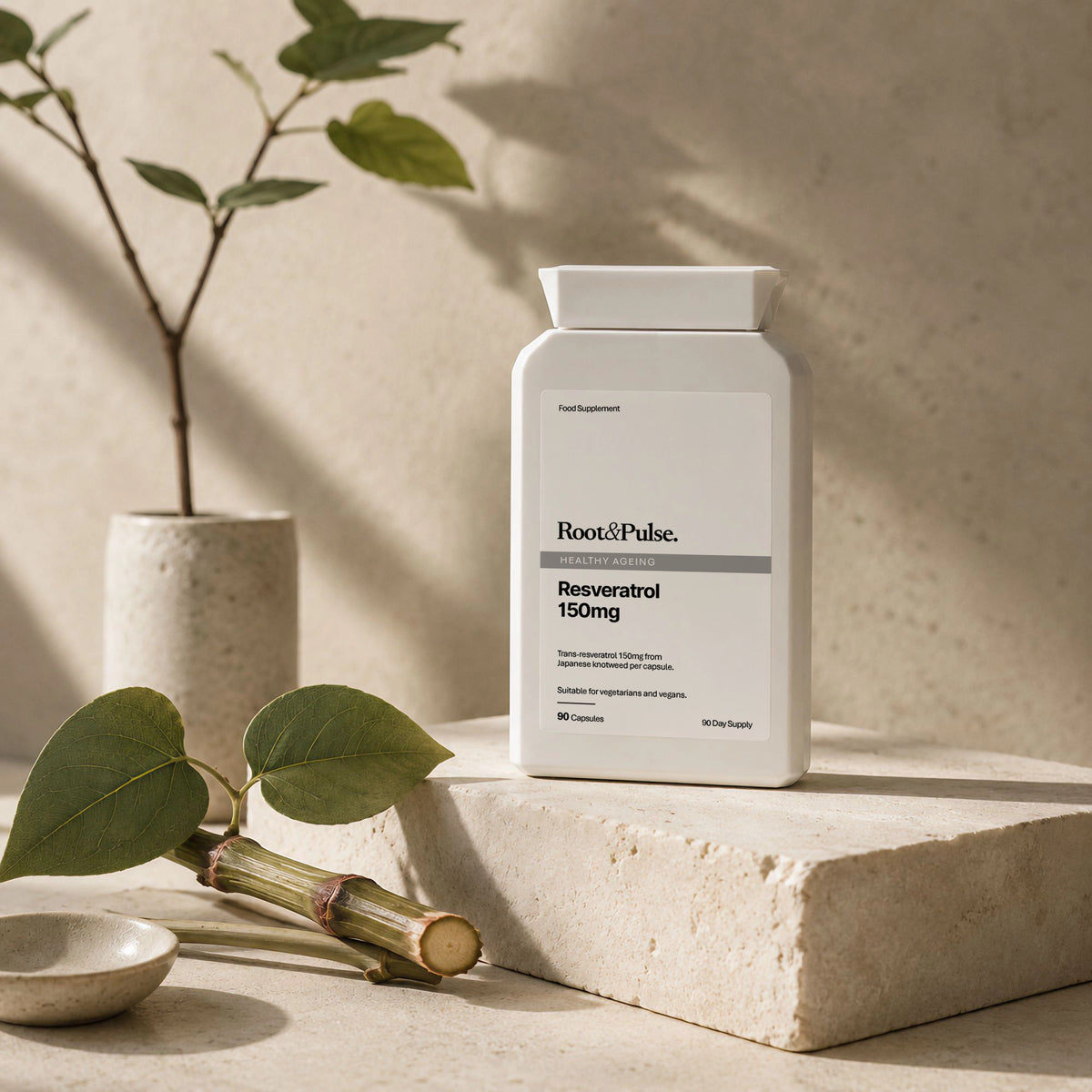 A white supplement bottle labeled Root&Pulse Resveratrol 150mg stands on a light stone block in a styled indoor scene with plants, leaves, and a small dish. The product is shown without a person, so this is Product/Packaging rather than Lifestyle.