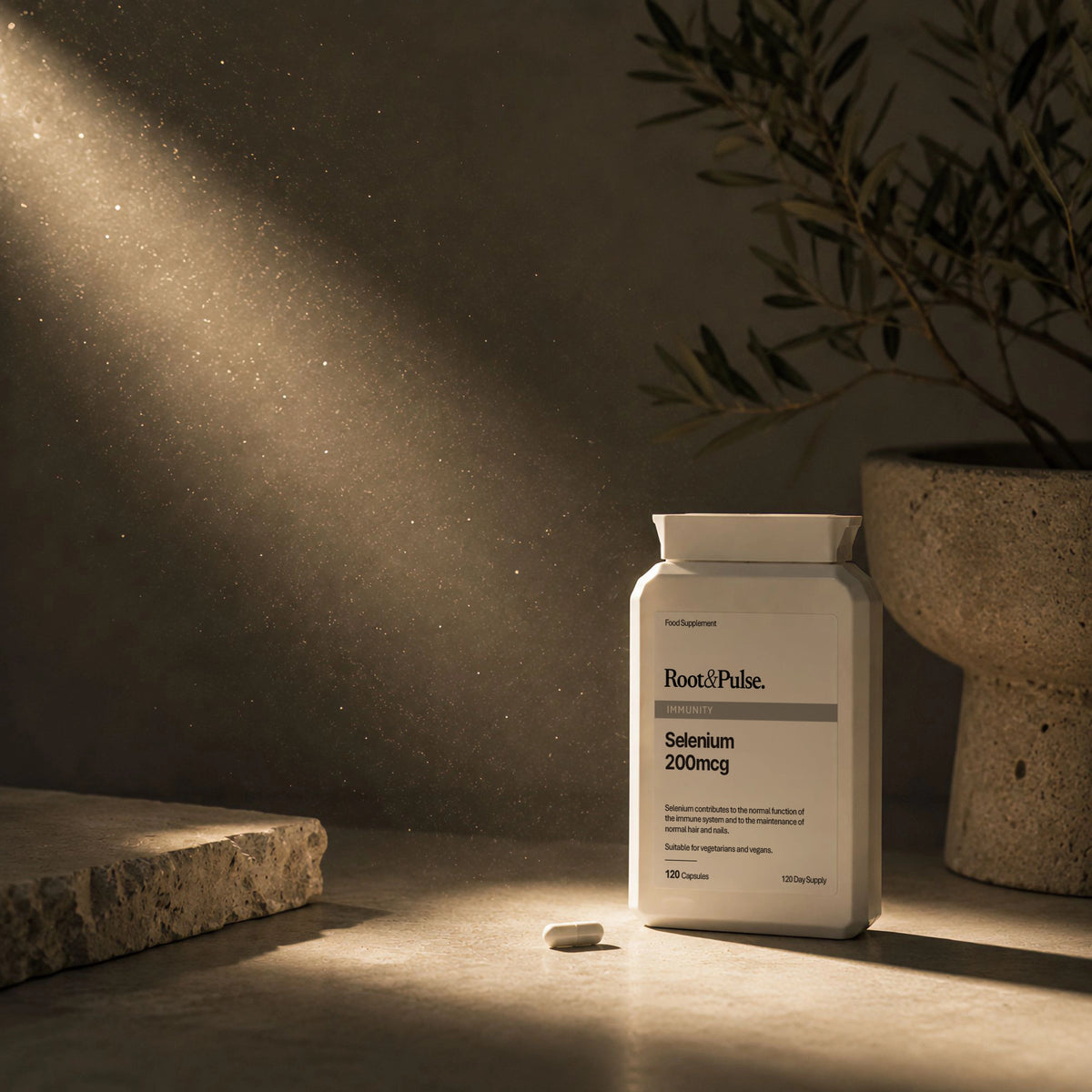 A white bottle of Root & Pulse. Selenium 200mg dietary supplement stands on a stone surface with a single capsule beside it, under dramatic warm sunlight and shadow, with a potted olive branch in the background.