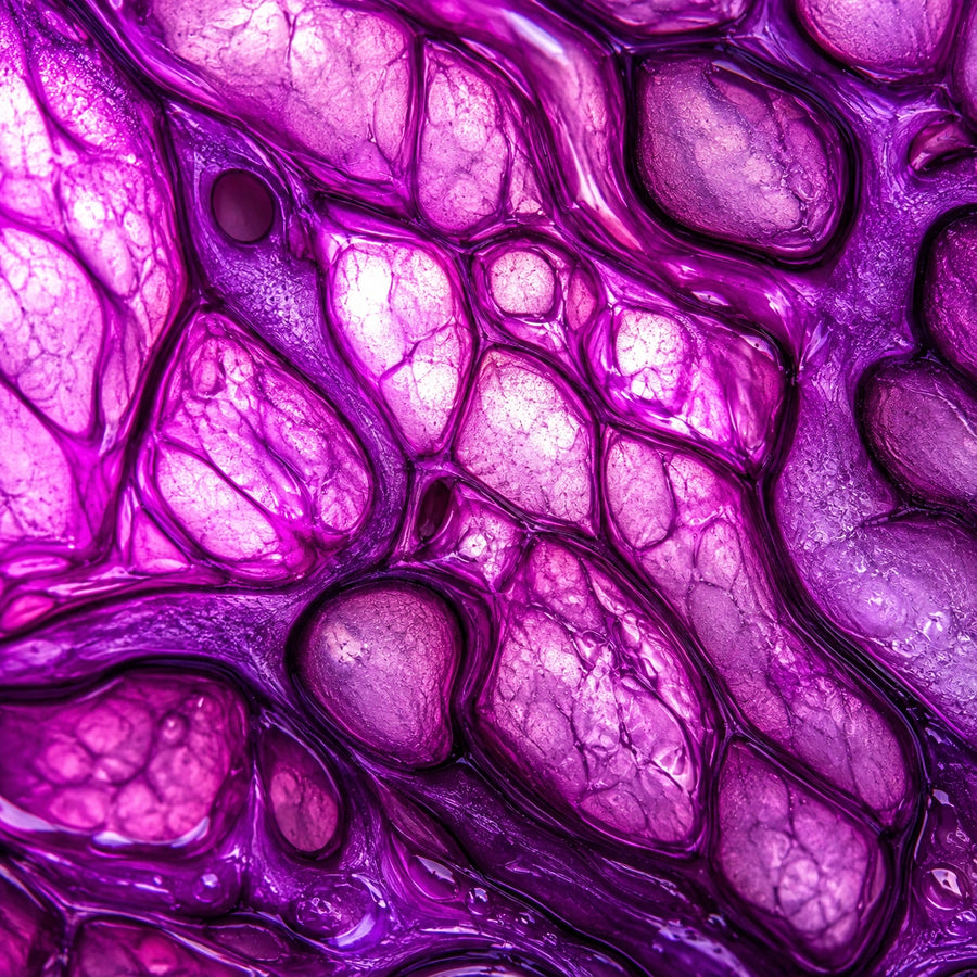 Vitamin B Complex Guide